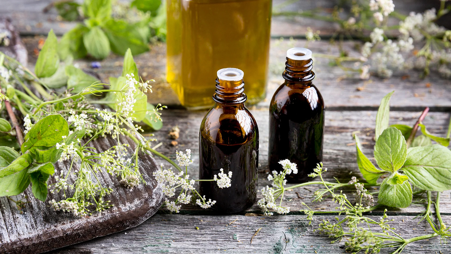 Perfumería botánica con esencias naturales y plantas aromáticas