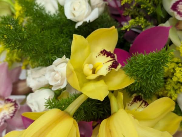 Ramo Bruma de Orquídeas (Recogida en tienda, Envio Granada y Área metropolitana) - Imagen 3