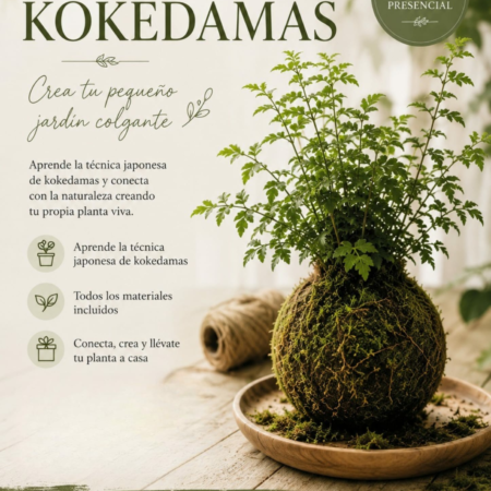 Cartel del Taller de Kokedamas de Soulgarden en Granada. Aprende a crear una kokedama japonesa el jueves 6 de agosto de 19:00 a 20:30.