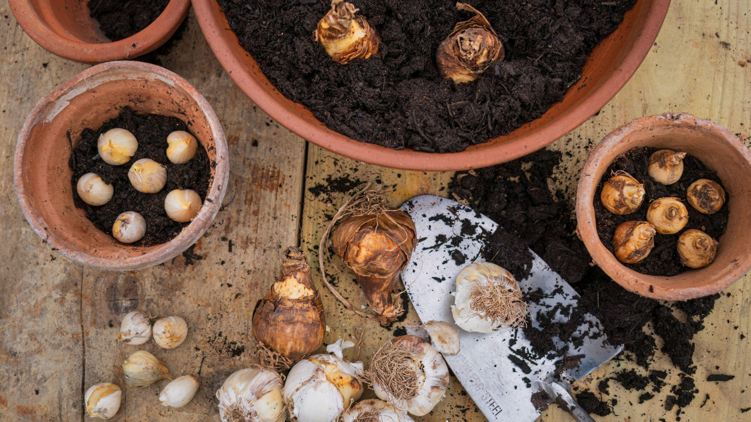 taller-lasana-pot-granada-bulbos-plantacion.jpg