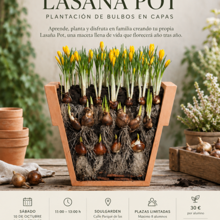 Taller Lasaña Pot Granada con plantación de bulbos en capas