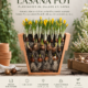 Taller Lasaña Pot Granada con plantación de bulbos en capas